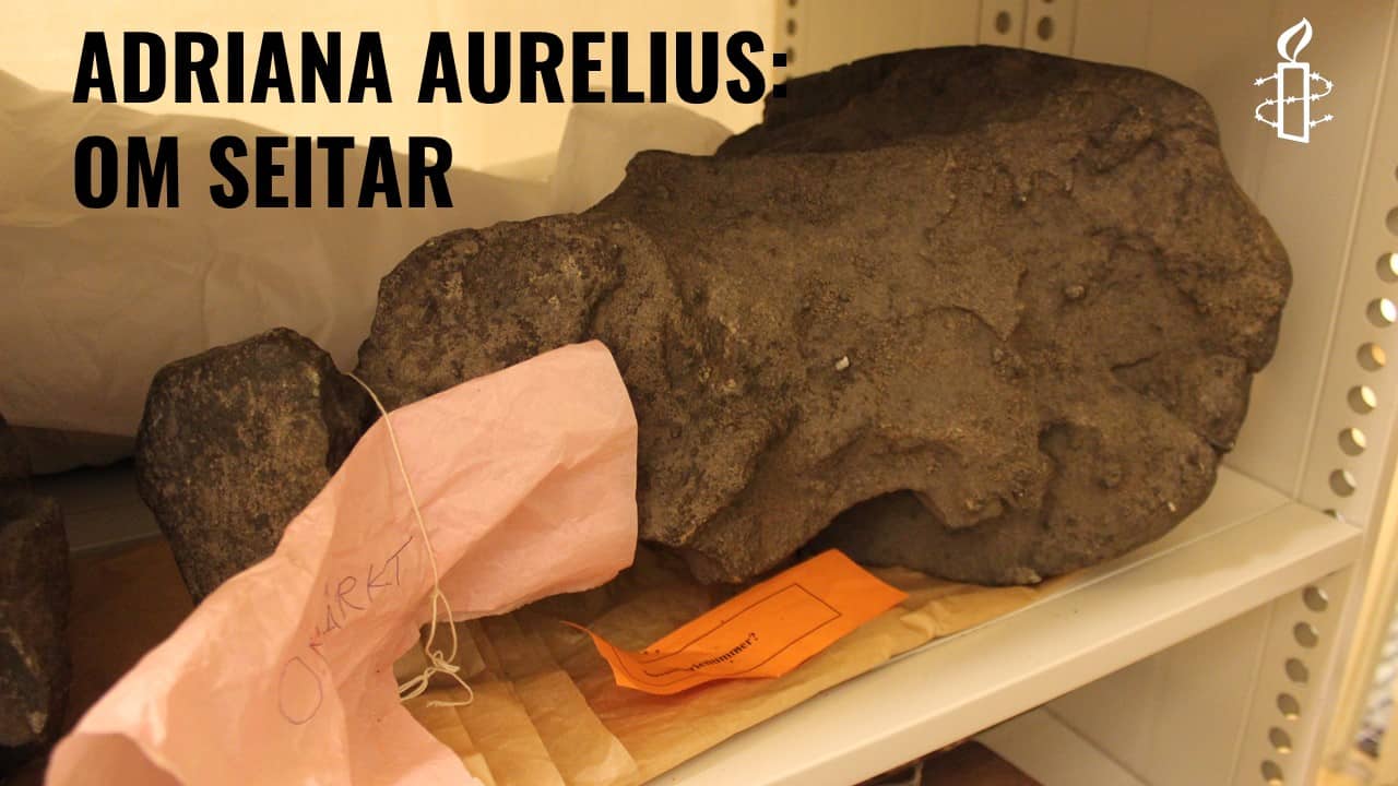 Adriana Aurelius: Seitar i museer och i de äldre källorna