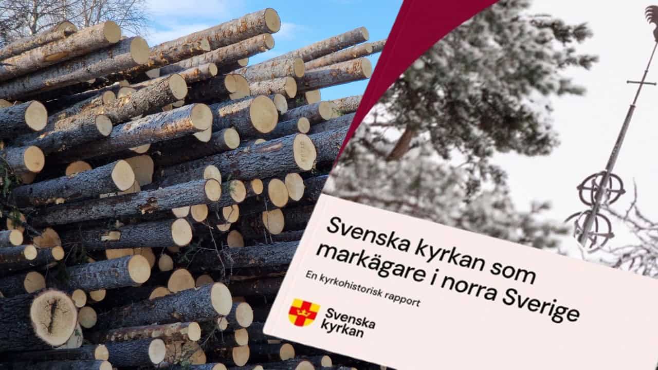 Bild på avverkad skog